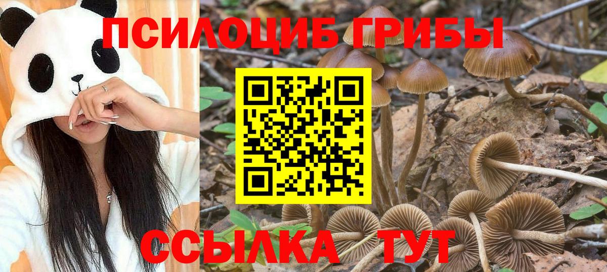 Ипатово  Псилоцибиновые грибы Magic Shrooms  Вход с VPN 